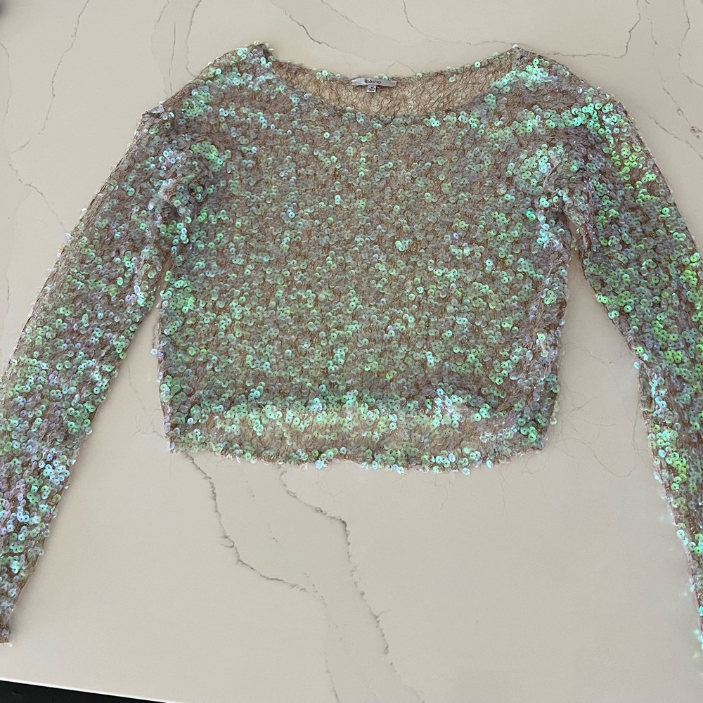 Iridescent Sequin Long Sleeve Crop Top